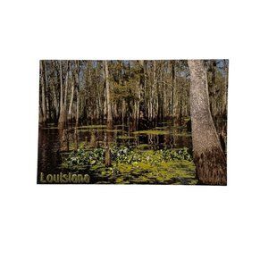 Vintage Postcard Louisiana Swamp DC 987 1999 Non Topographical Standard u